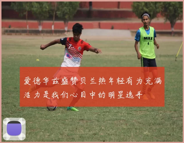 爱德华兹盛赞贝兰热年轻有为充满活力是我们心目中的明星选手