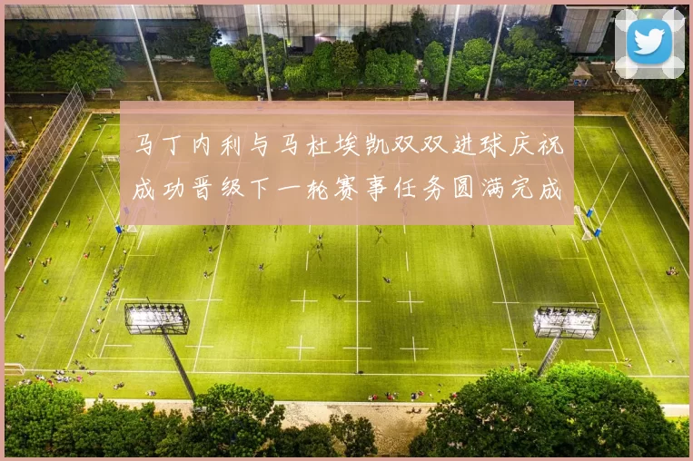 马丁内利与马杜埃凯双双进球庆祝成功晋级下一轮赛事任务圆满完成
