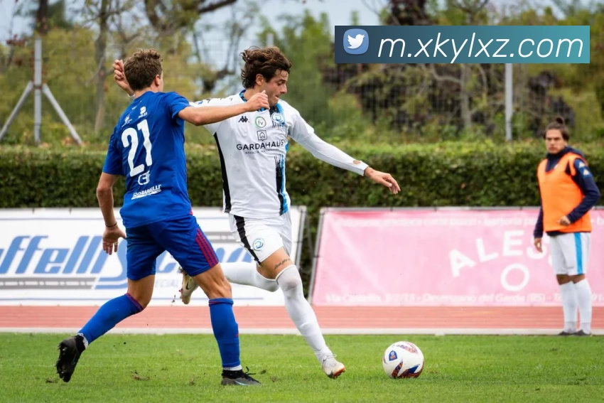 星空娱乐app品牌故事