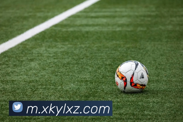 星空娱乐app服务体系